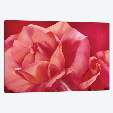 Pink Rose I Canvas Print #YPH40} by Yvonne Poelstra-Holzhaus Canvas Print