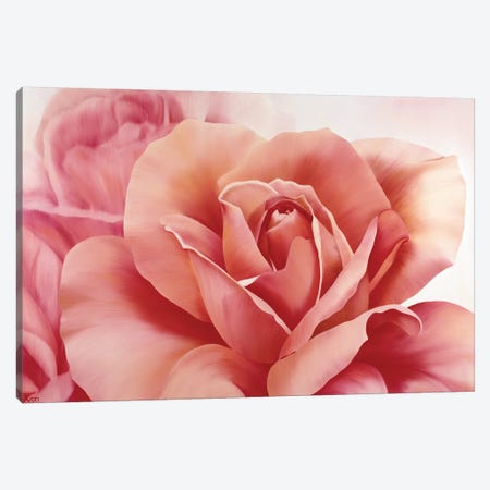 Pink Rose II Canvas Print #YPH41} by Yvonne Poelstra-Holzhaus Canvas Art Print