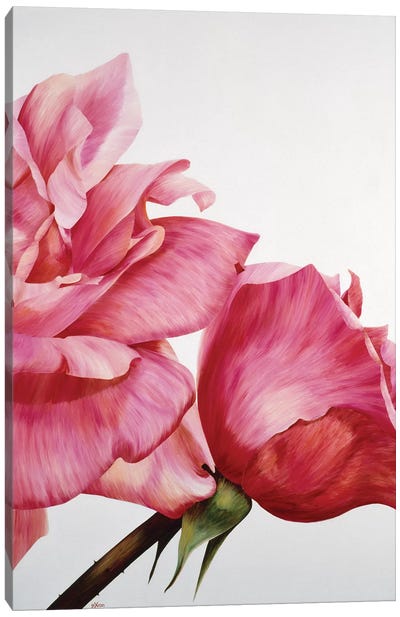 Pink Twin II Canvas Art Print