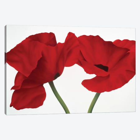 Poppy Red Canvas Print #YPH44} by Yvonne Poelstra-Holzhaus Canvas Artwork