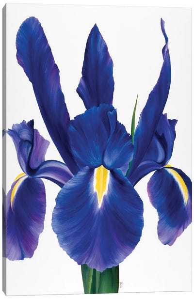 Purple Floral I Canvas Art Print - Yvonne Poelstra-Holzhaus
