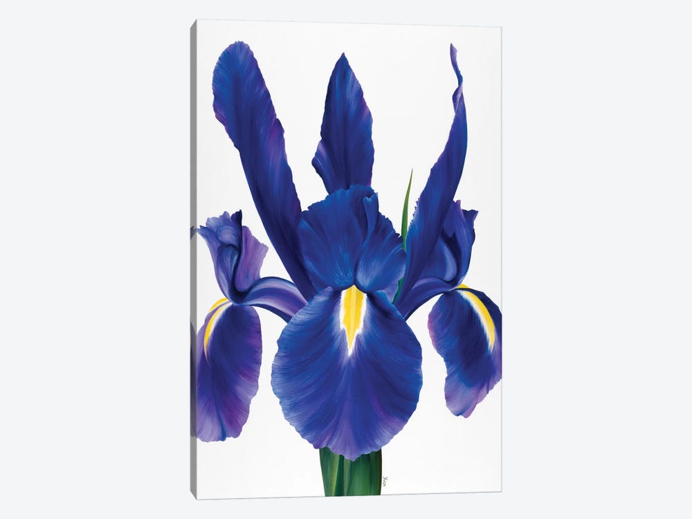 Purple Floral I by Yvonne Poelstra-Holzhaus 1-piece Canvas Wall Art