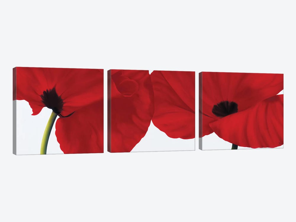 Red II (Poppies) by Yvonne Poelstra-Holzhaus 3-piece Art Print