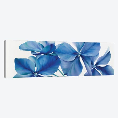 Shiny Bleu Canvas Print #YPH54} by Yvonne Poelstra-Holzhaus Canvas Print