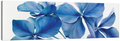 Shiny Bleu Canvas Art Print - Floral Close-Up Art