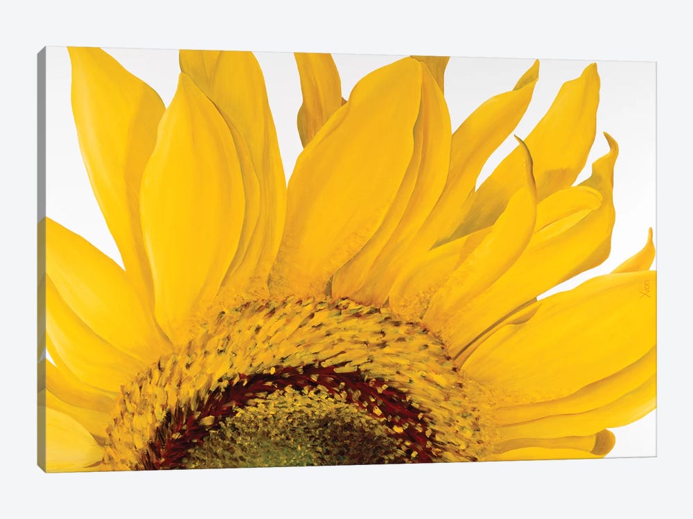 Sunflower I by Yvonne Poelstra-Holzhaus 1-piece Canvas Art