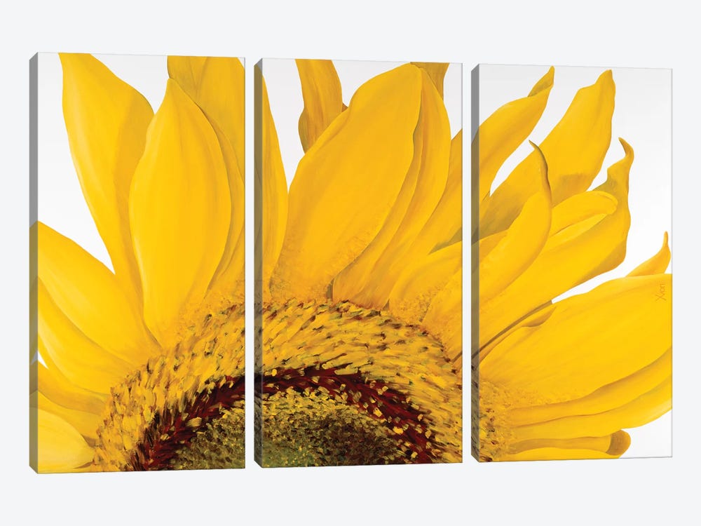 Sunflower I by Yvonne Poelstra-Holzhaus 3-piece Canvas Wall Art
