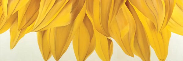 Floral Close-Ups: Sunny Yellow by Yvonne Poelstra-Holzhaus