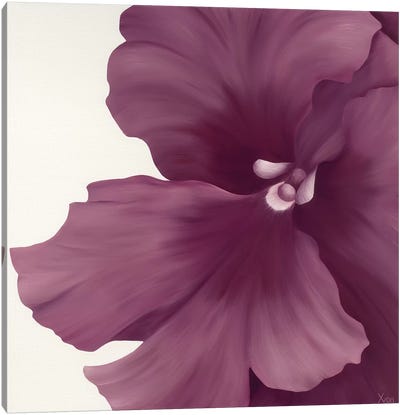 Violet Flower I Canvas Art Print - Yvonne Poelstra-Holzhaus
