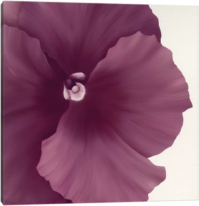 Violet Flower II Canvas Art Print