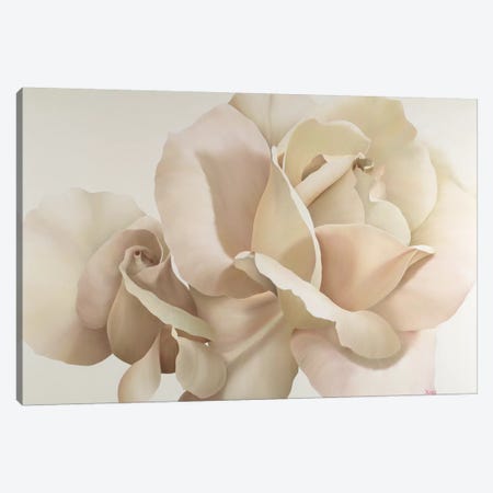 White Rose Canvas Print #YPH67} by Yvonne Poelstra-Holzhaus Canvas Artwork