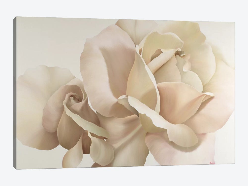 White Rose by Yvonne Poelstra-Holzhaus 1-piece Canvas Wall Art