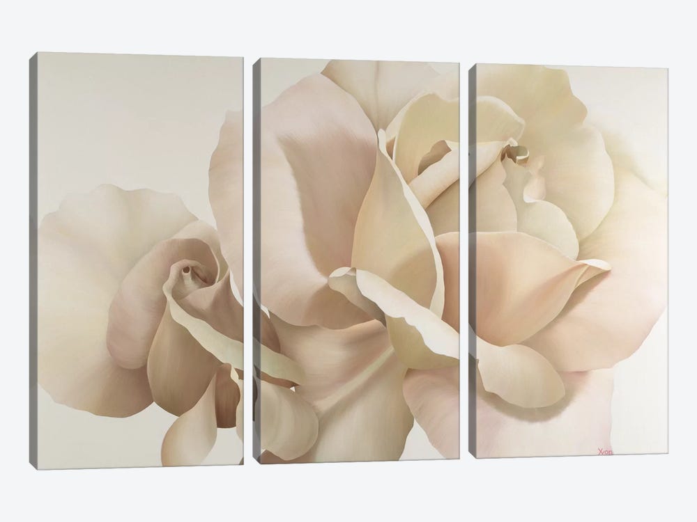 White Rose by Yvonne Poelstra-Holzhaus 3-piece Canvas Wall Art