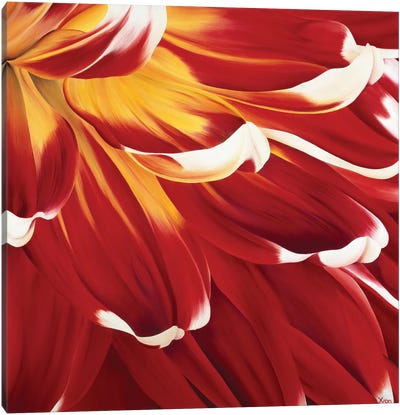 Colourful Floral I Canvas Art Print