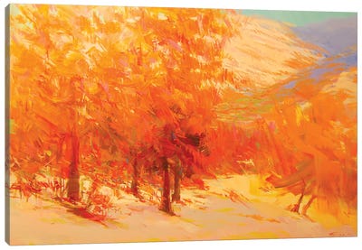 Firing Sunset Canvas Art Print