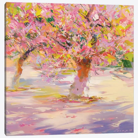 Sakura Blossom Canvas Print #YPR211} by Yuri Pysar Canvas Art Print