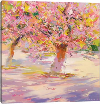 Sakura Blossom Canvas Art Print - Cherry Tree Art
