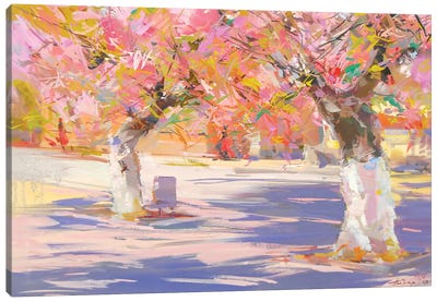 Sakura Canvas Art Print - Pastel Impressionism