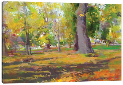 The Autumn Walk Canvas Art Print - Maple Tree Art