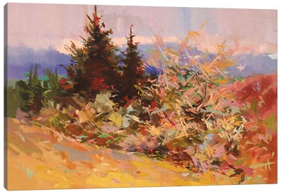 Lace Evening Canvas Art Print - Pastel Impressionism