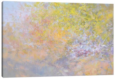 Light. Crimea Canvas Art Print - Pastels