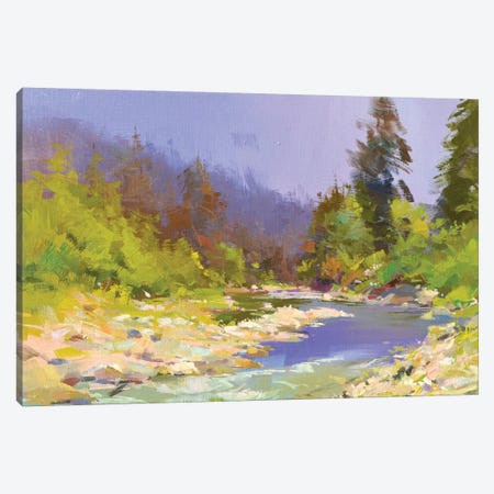 River and Stones II Canvas Print #YPR260} by Yuri Pysar Canvas Art