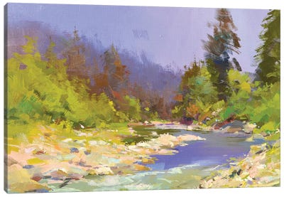 River and Stones II Canvas Art Print - Yuri Pysar