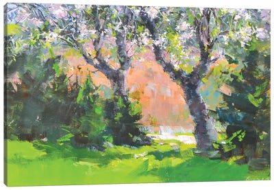 The Spting Garden Canvas Art Print - Pantone 2024 Peach Fuzz