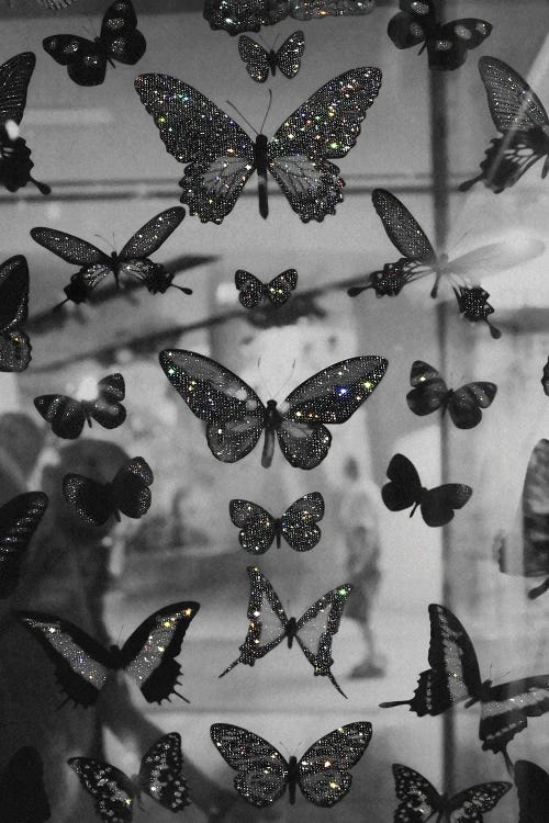 The Butterflies