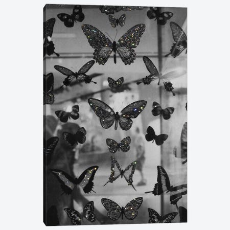The Butterflies Canvas Print #YPT1} by Yana Potter Canvas Print