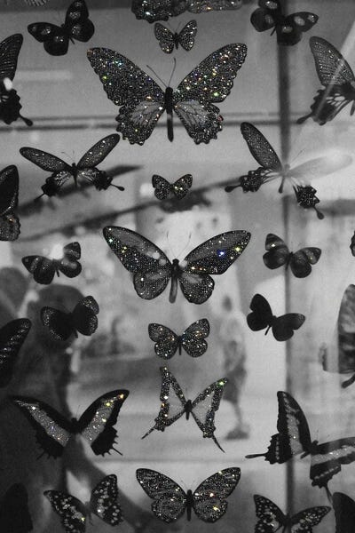 Yana Potter: The Butterflies by Yana Potter