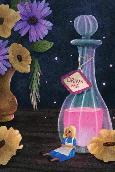 Fictional Characters: Alice by Yellow Rabbit Cottage