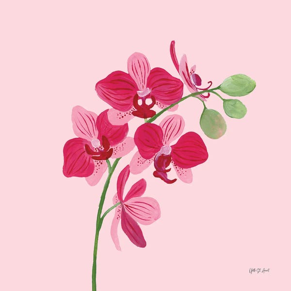 Orchids: In The Jungle V by Yvette St.Amant