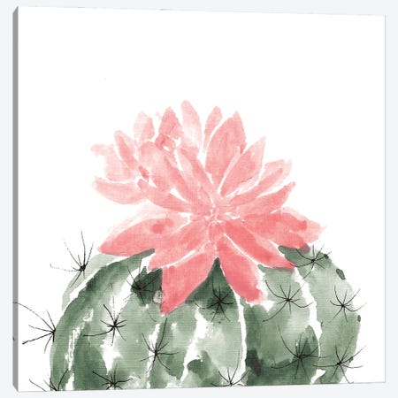 Prickly Bloom IV Canvas Print #YSA26} by Yvette St.Amant Canvas Art Print