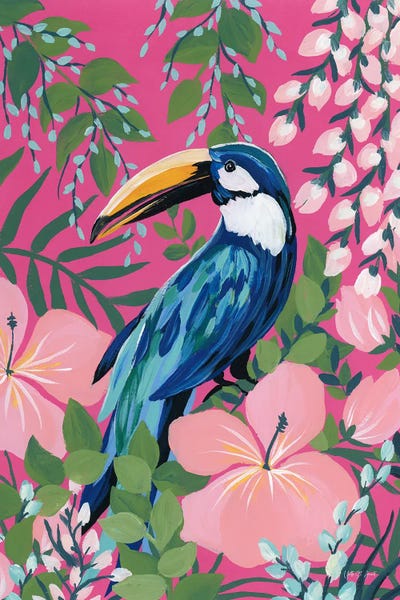 Maximalist Toucan