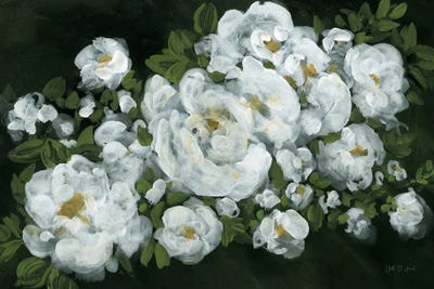 Midnight Roses by Yvette St.Amant canvas print