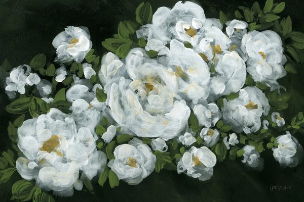 Yvette St.Amant: Midnight Roses by Yvette St.Amant