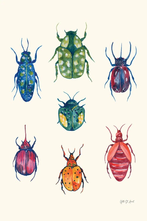 Beetle Chart