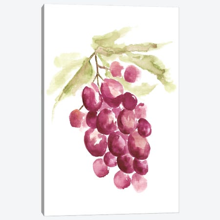 Botanical Berry Canvas Print #YSA9} by Yvette St.Amant Canvas Wall Art