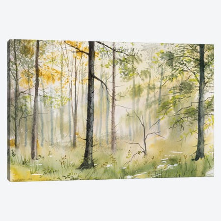 The Magic Of The November Forest Canvas Print #YSC68} by Yulia Schuster Canvas Wall Art