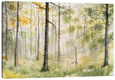 The Magic Of The November Forest Canvas Art Print - Yulia Schuster