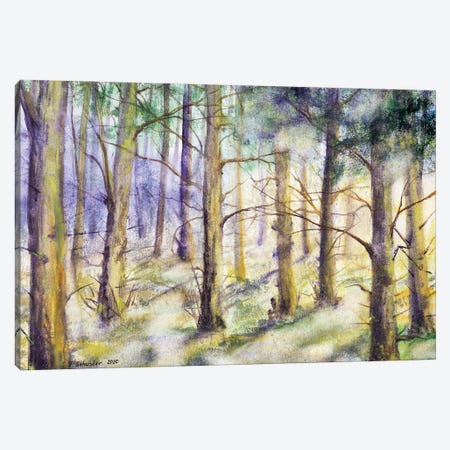 Forest Canvas Print #YSC77} by Yulia Schuster Canvas Art