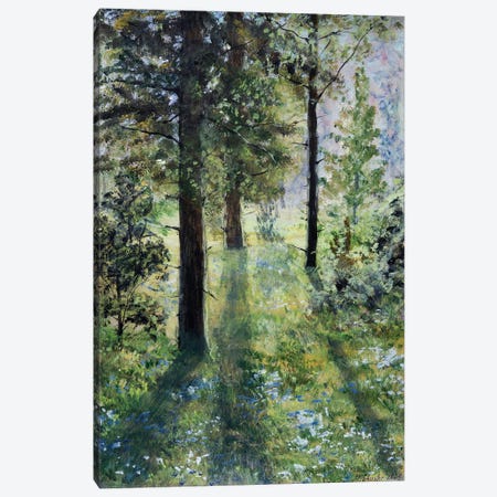 Wald Canvas Print #YSC78} by Yulia Schuster Canvas Art Print
