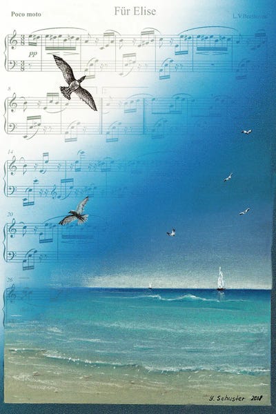 Seagulls by Yulia Schuster metal wall art