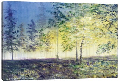 Evening Canvas Art Print - Yulia Schuster