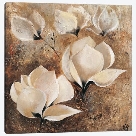 Magnolia I Canvas Print #YUL3} by Yuliya Volynets Art Print