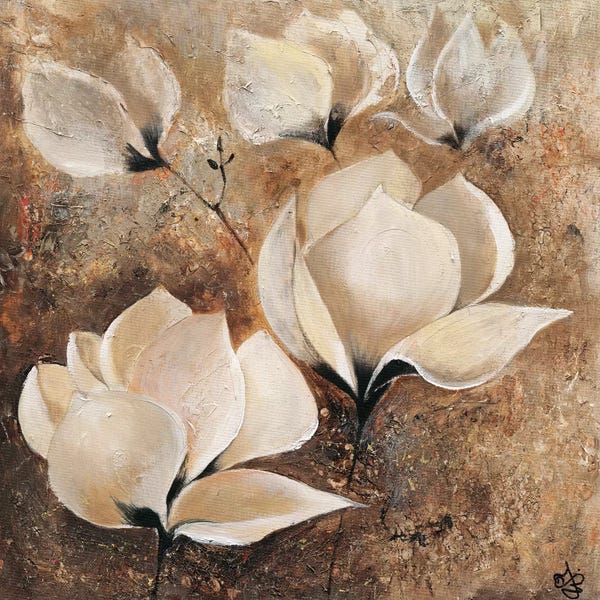 Santa Fe: Magnolia I by Yuliya Volynets