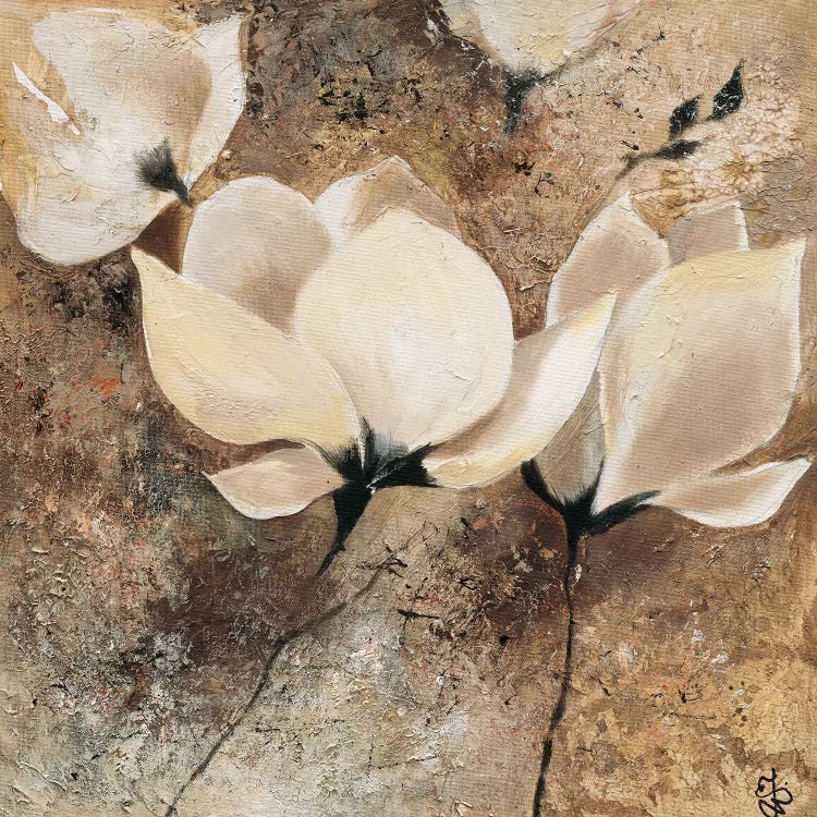 Magnolia II