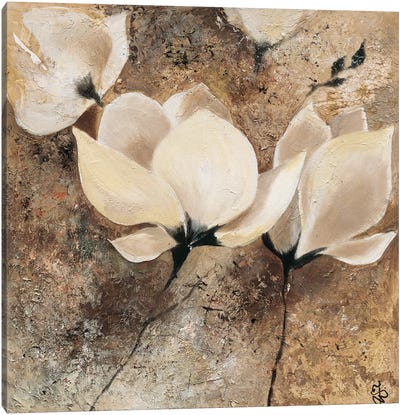 Magnolia II Canvas Art Print - Magnolias