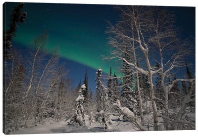 Green Aurora At Prelude Lake, Yellowknife, Northwest Territories, Canada Canvas Art Print